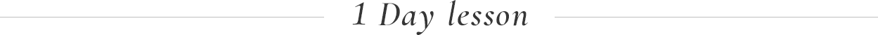 1 Day Lesson